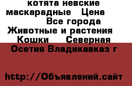 котята невские маскарадные › Цена ­ 18 000 - Все города Животные и растения » Кошки   . Северная Осетия,Владикавказ г.